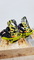 Flux  GL  Snowboard  Bindings  -  Used