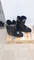 Dalbello  SX  3.8  Ski  Boots  -  Used