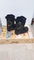 Thirtytwo  Prion  Fast  Track  Snowboard  Boots  -  Used