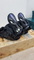 Endeavor  S2  Snowboard  Bindings  -  Used