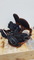 Option  Contact  Snowboard  Bindings  -  Used