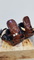 Option  Contact  Snowboard  Bindings  -  Used